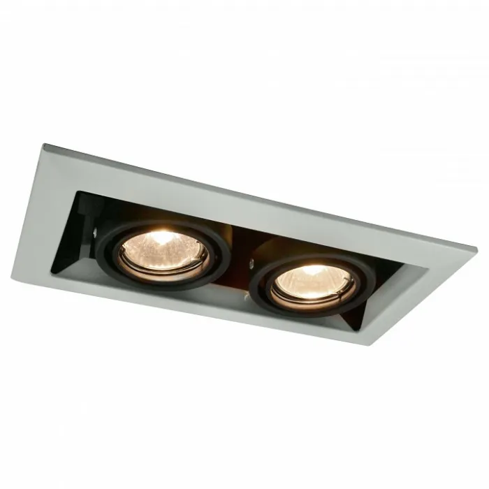 Встраиваемый светильник Arte Lamp Technika A5941PL-2WH Цвет арматуры белый Цвет плафонов черный от ImperiumLoft