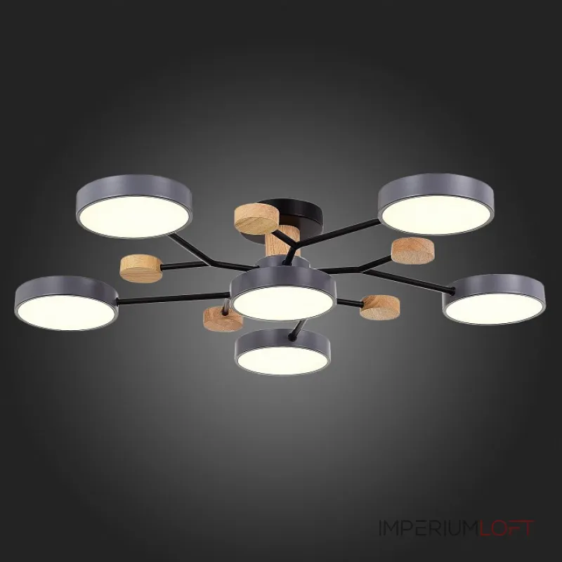 Потолочная люстра EVOLUCE Faema SLE6006-702-06 Потолочная люстра EVOLUCE Faema SLE6006-702-06
