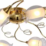 Потолочная люстра Arte Lamp Mughetto A9289PL-8GO 