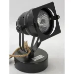 Спот Lussole Loft GRLSP-9118 от ImperiumLoft