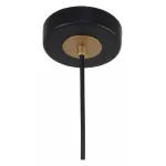 Подвесной светильник F-promo Rigor 2844-1P 