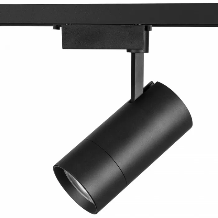 Светильник на штанге Lightstar Volta 229447 Цвет плафонов черный от ImperiumLoft