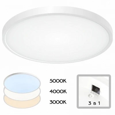 Потолочный светильник Citilux Бейсик CL738320V