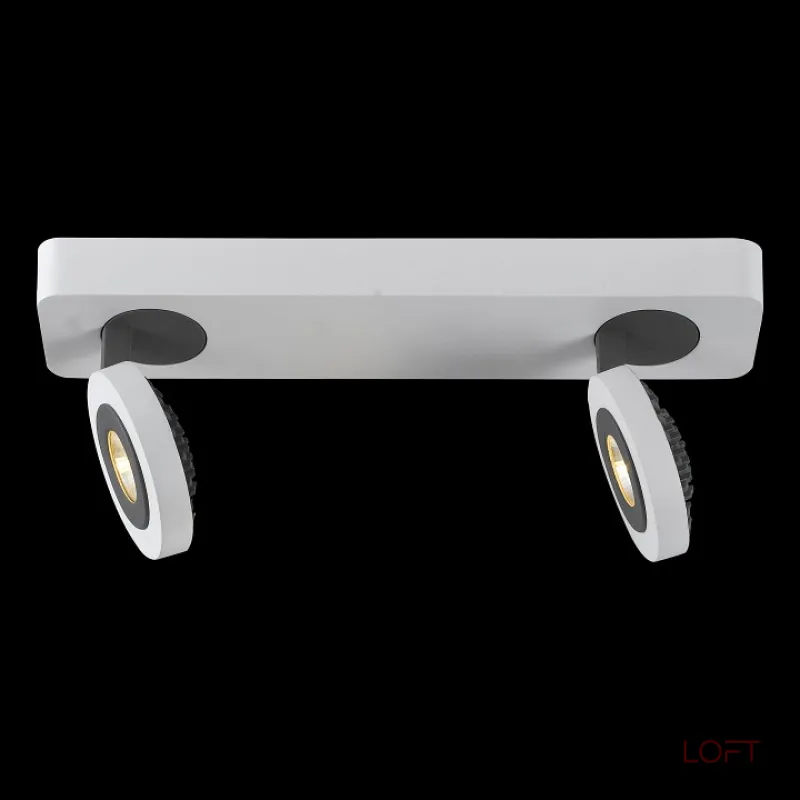 Спот Arte Lamp Mars A3173AP-2WH Цвет арматуры черно-белый Цвет плафонов черно-белый