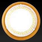 Потолочный светильник TopLight Gien TL9173Y-02OA 