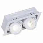 Встраиваемый светильник Arte Lamp Studio A3007PL-2WH Цвет арматуры белый Цвет плафонов золото