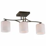Потолочный светильник Omnilux Pisticci OML-55317-03
