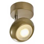 Спот TopLight Carissa TL1244Y-01SG Цвет плафонов золото Цвет арматуры золото