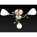 Потолочная люстра TopLight Lorin TL3570X-03AB 