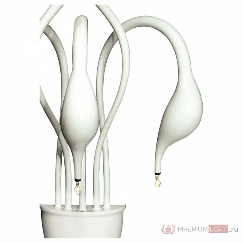 Бра Lightstar Cigno Collo 751656 Цвет арматуры белый от ImperiumLoft
