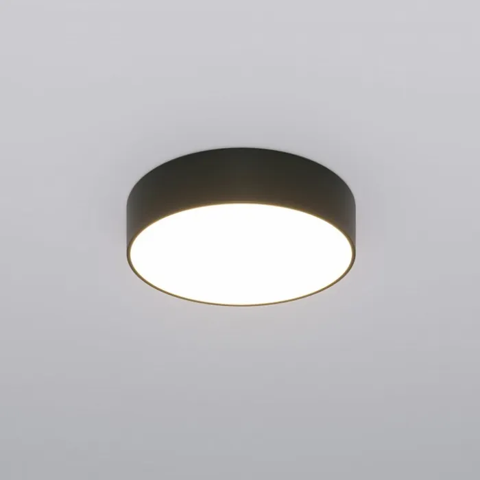 Накладной светильник Eurosvet Entire 90318/1 черный от ImperiumLoft