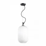 Подвесной светильник Odeon Light Roofi 4751/1 Цвет плафонов белый Цвет арматуры черный от ImperiumLoft