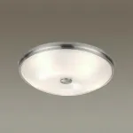 Накладной светильник Odeon Light Pelow 4957/5