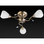 Потолочная люстра TopLight Lorin TL3570X-03AB 