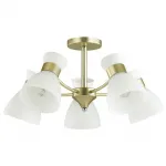 Потолочная люстра Lumion Wilma 4535/5C  Потолочная люстра Lumion Wilma 4535/5C