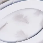 Накладной светильник Arte Lamp Multi-Piuma A1397PL-1CL Цвет плафонов разноцветный Цвет арматуры белый