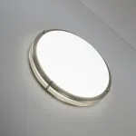 Накладной светильник Citilux Бостон CL709501N