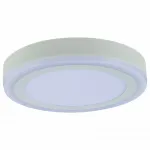 Накладной светильник Arte Lamp Antares A7824PL-2WH Цвет арматуры белый Цвет плафонов белый