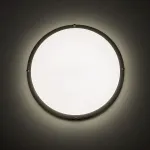 Накладной светильник Citilux Бостон CL709501N