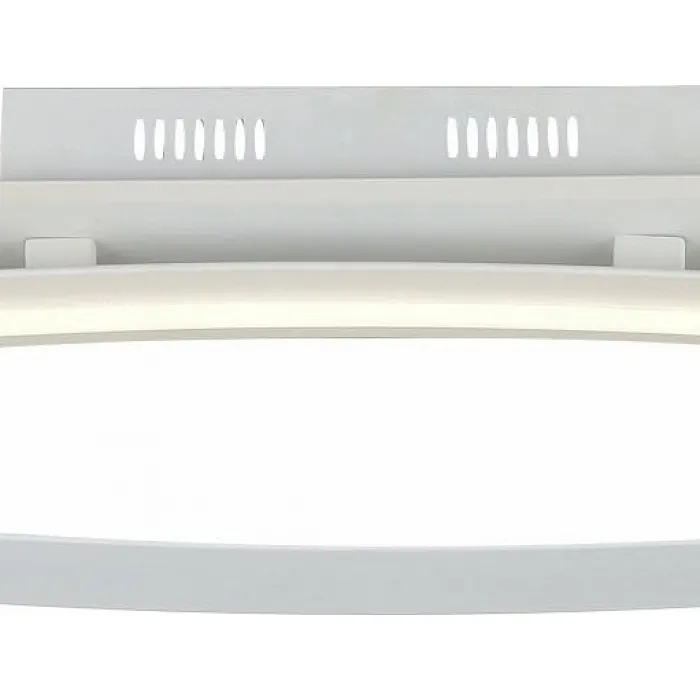 Накладной светильник ST-Luce SL920 SL920.102.01 от ImperiumLoft