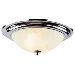 Потолочный светильник Arte Lamp Alta A3012PL-2CC 