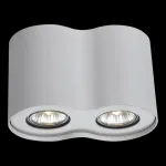 Накладной светильник Arte Lamp Falcon A5633PL-2WH Цвет арматуры белый Цвет плафонов прозрачный от ImperiumLoft