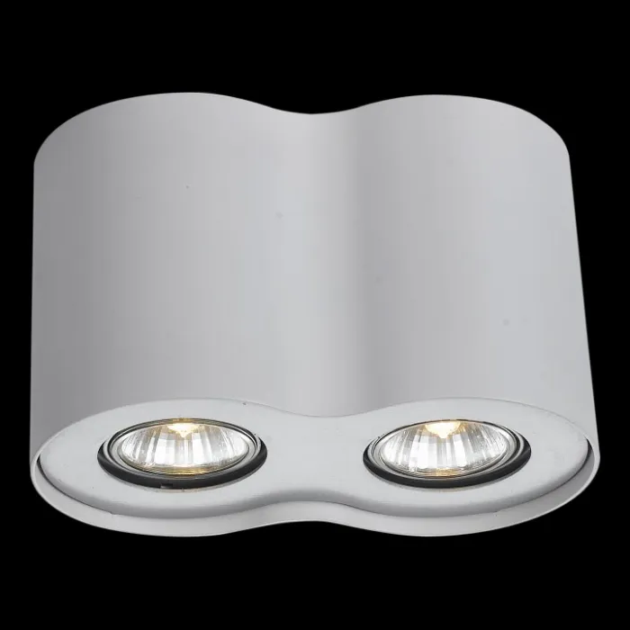 Накладной светильник Arte Lamp Falcon A5633PL-2WH Цвет арматуры белый Цвет плафонов прозрачный от ImperiumLoft