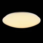 Накладной светильник Freya Gloria FR6999-CL-30-W от ImperiumLoft