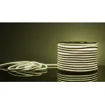 Лента светодиодная  Elektrostandard LS001 a040597