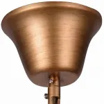 Подвесная люстра Arte Lamp Regina A4298SP-5AB 