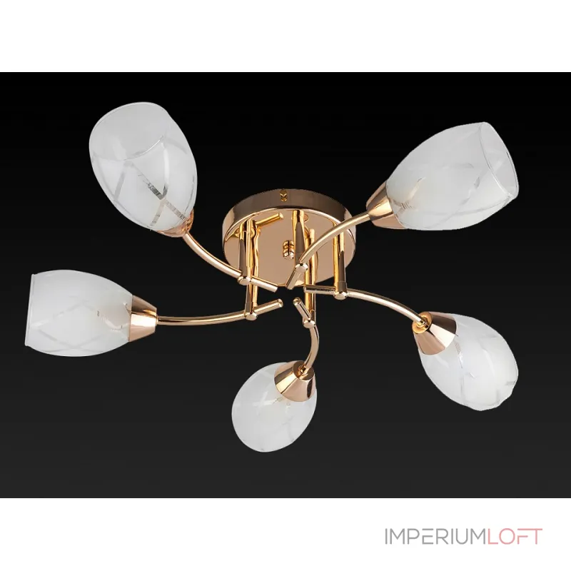 Потолочная люстра TopLight Lucy TL7120X-05FG 