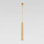 Подвесной светильник Elektrostandard Lead 50245 LED