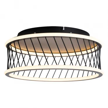 Потолочный светильник F-promo Korg 4436-2C Потолочный светильник F-promo Korg 4436-2C