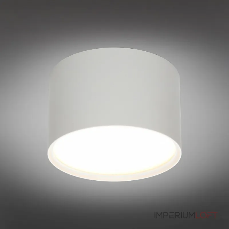 Накладной светильник Omnilux Abano OML-103309-06