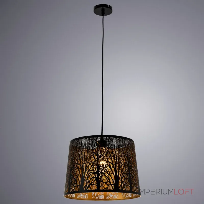 Подвесной светильник Arte Lamp Celesta A2769SP-1BK 
