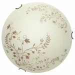 Потолочный светильник Arte Lamp Ornament A4920PL-2CC 