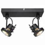 Спот Arte Lamp Costruttore A4300AP-2BK Цвет арматуры черный Цвет плафонов белый