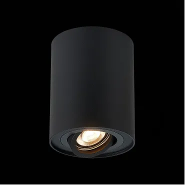 Спот ST-Luce Torus ST108.417.01 Цвет арматуры черный от ImperiumLoft