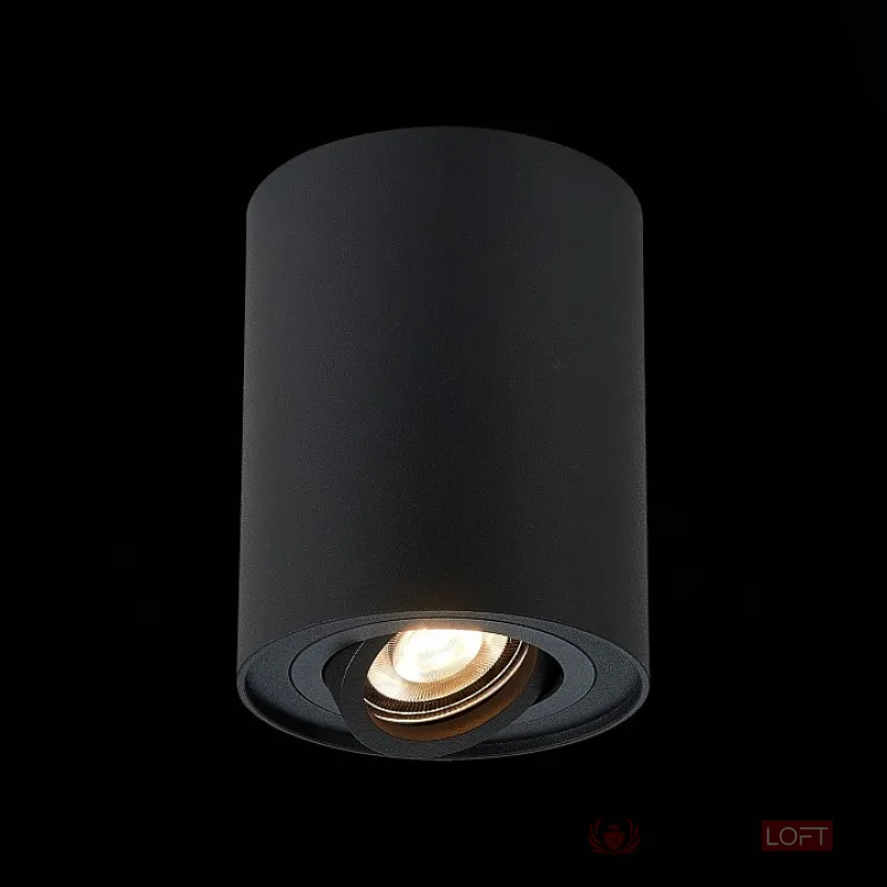 Спот ST-Luce Torus ST108.417.01 Цвет арматуры черный от ImperiumLoft