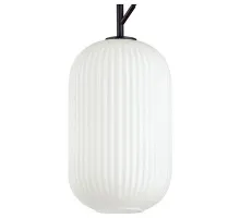Подвесной светильник Odeon Light Roofi 4751/1 Цвет плафонов белый Цвет арматуры черный