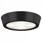 Накладной светильник Lightstar Urbano 214972 Цвет арматуры черный