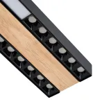 Потолочный светильник F-promo Zebra 4440-2C