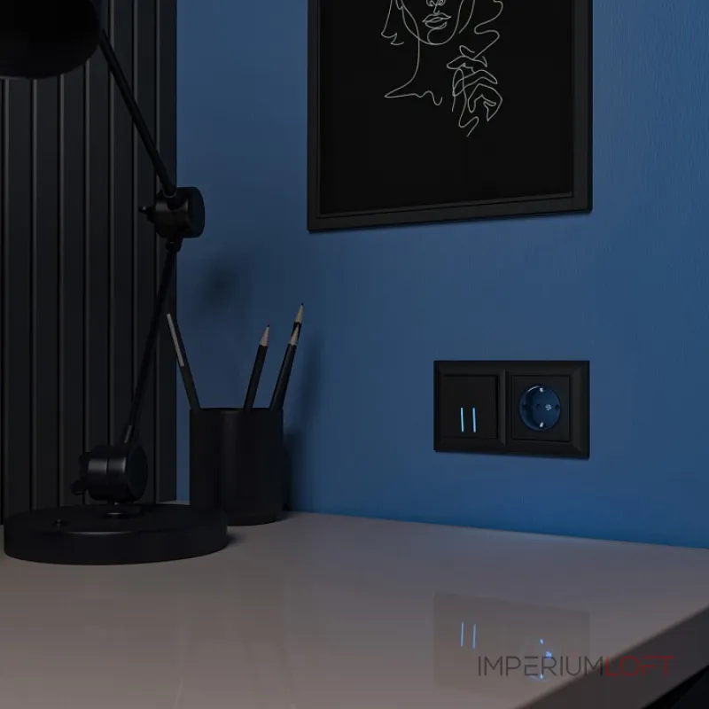 Розетка с заземлением с подсветкой без рамки Werkel черный W1171408 от ImperiumLoft