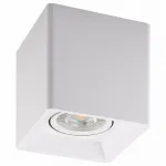 Накладной светильник Denkirs DK303 DK3030-WH Цвет плафонов белый Цвет арматуры белый от ImperiumLoft