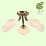 Потолочная люстра Lussole LGO-25 GRLSP-0189