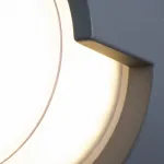 Накладной светильник Arte Lamp Lancia A8159AL-1GY Цвет арматуры черный Цвет плафонов белый