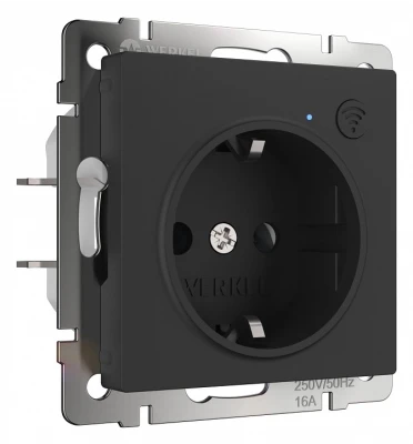 Розетка с заземлением и шторками, без рамки с Wi-Fi Werkel черный матовый W1171608