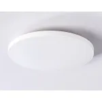 Накладной светильник Ambrella FZ FZ1221