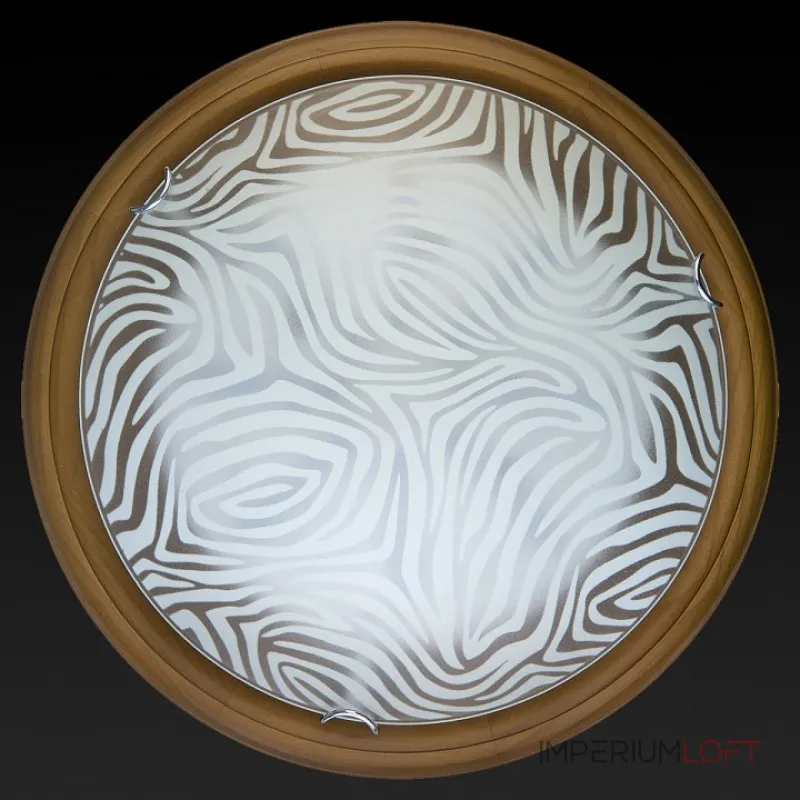 Потолочный светильник TopLight Agatha TL9260Y-00OA 