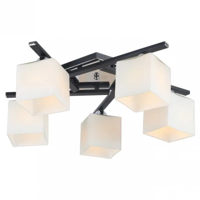 Потолочная люстра Arte Lamp Visuale A8165PL-5BK 